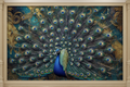 3D Peacock Theme Wallpaper Mural with vibrant jewel-toned feathers